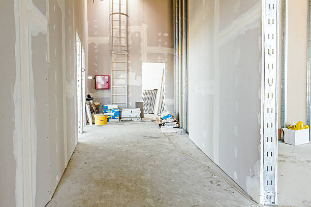 Best Industrial Mold Remediation  in Georgetown, PA